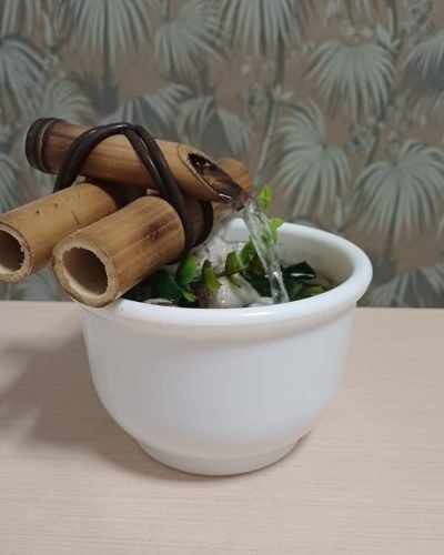 Imagem do WhatsApp de 2025-04-09 à(s) 13.38.30_d55c3c92